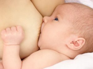 Newborn sucks mother's breast, breastfeeding